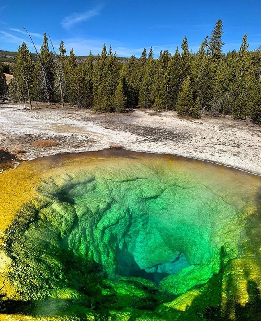 Place Yellowstone National Park