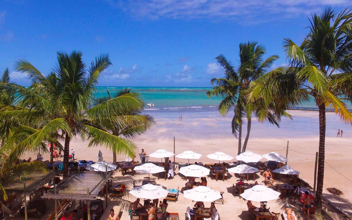 Lugar Hibiscus Beach Club | Maceió