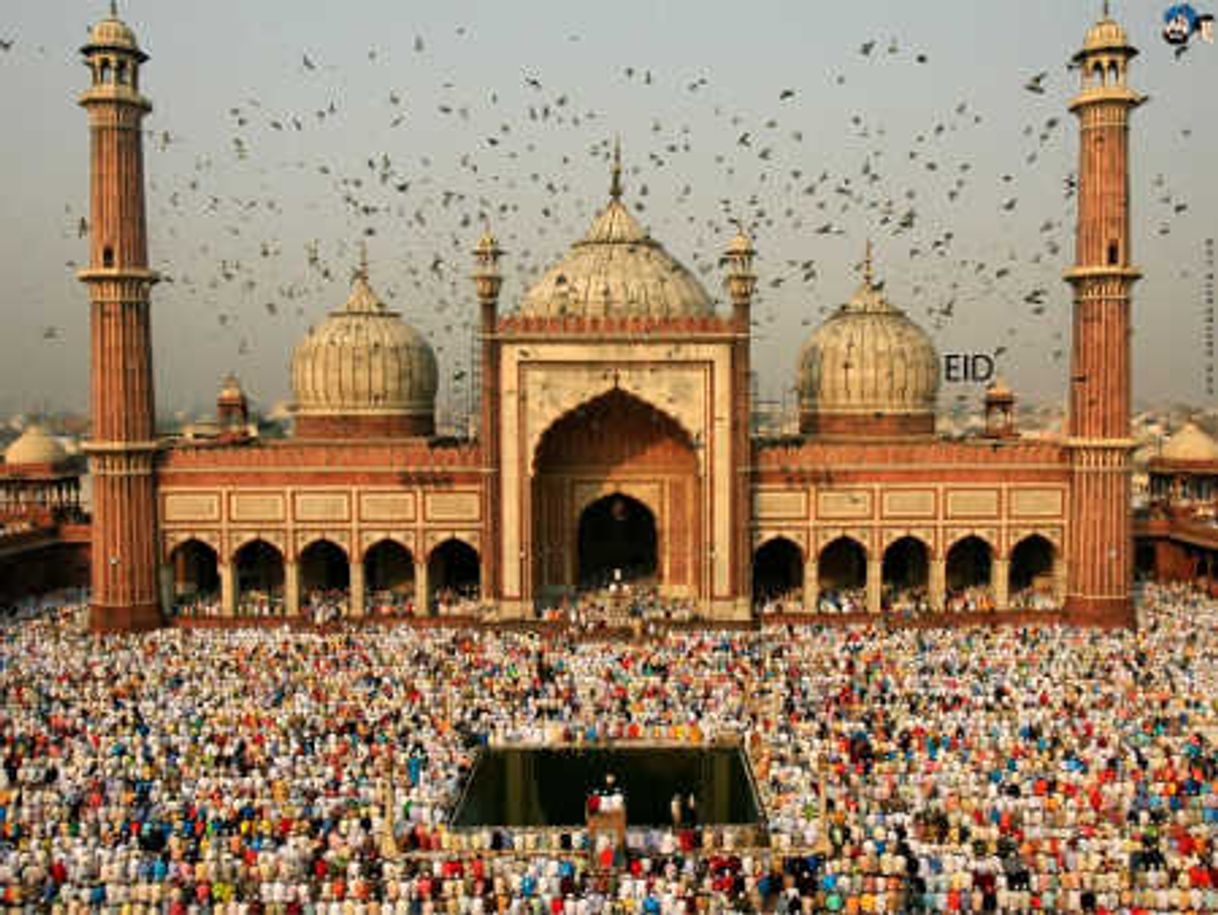 Lugar Jama Masjid, Chandni Chowk