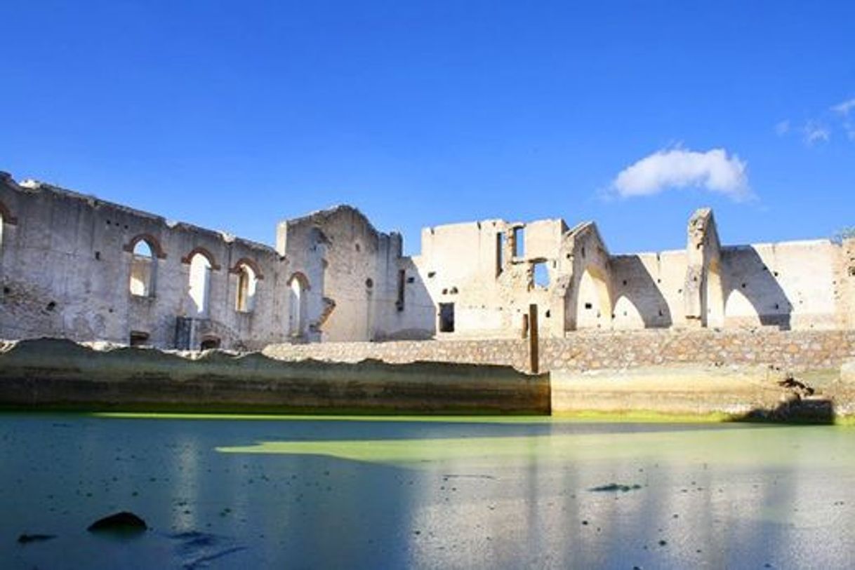 Lugar Mineral de Pozos