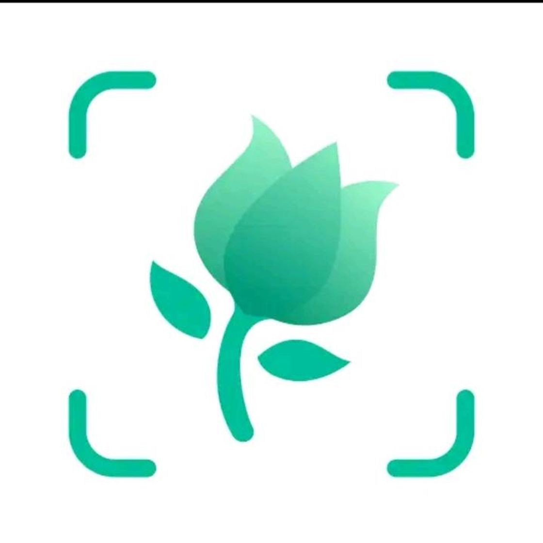 App Cuidado de tus plantas 