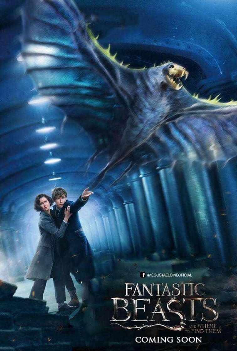 Película Animales fantásticos: Los secretos de Dumbledore