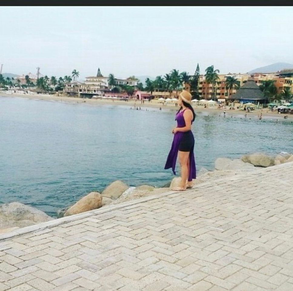 Place Manzanillo Colima