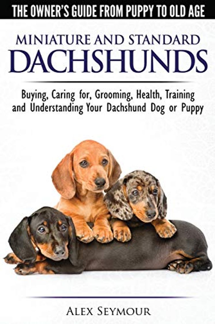 Libro Dachshunds