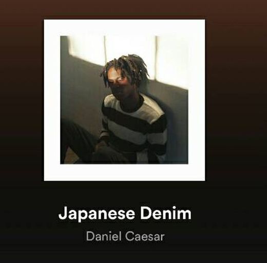 Japanese - Denim 