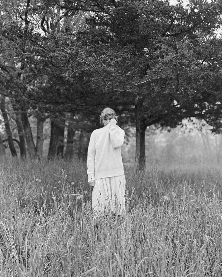 Social Taylor Swift- Cardigan (traducción al español)