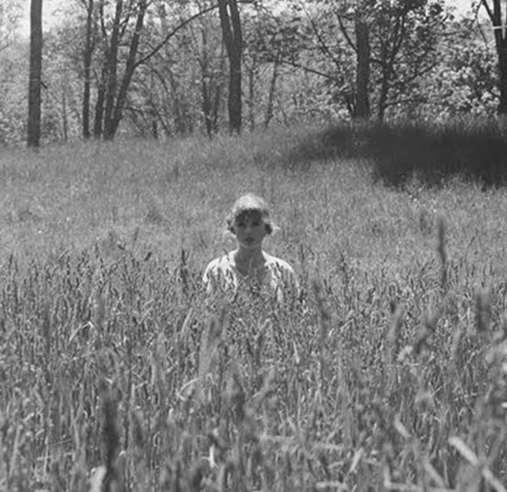 Social Taylor Swift FT Bon Iver- Exile (Traducción al español)