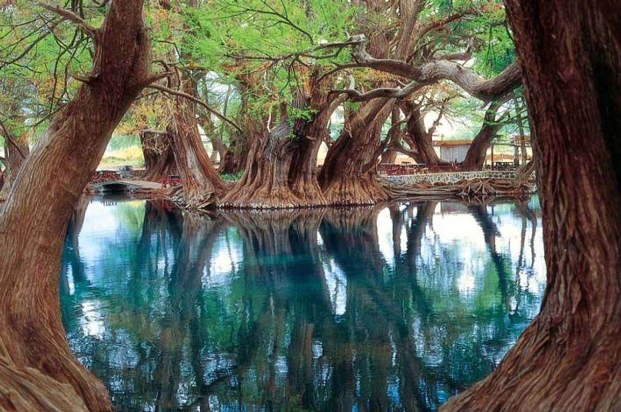 Place Camecuaro lake