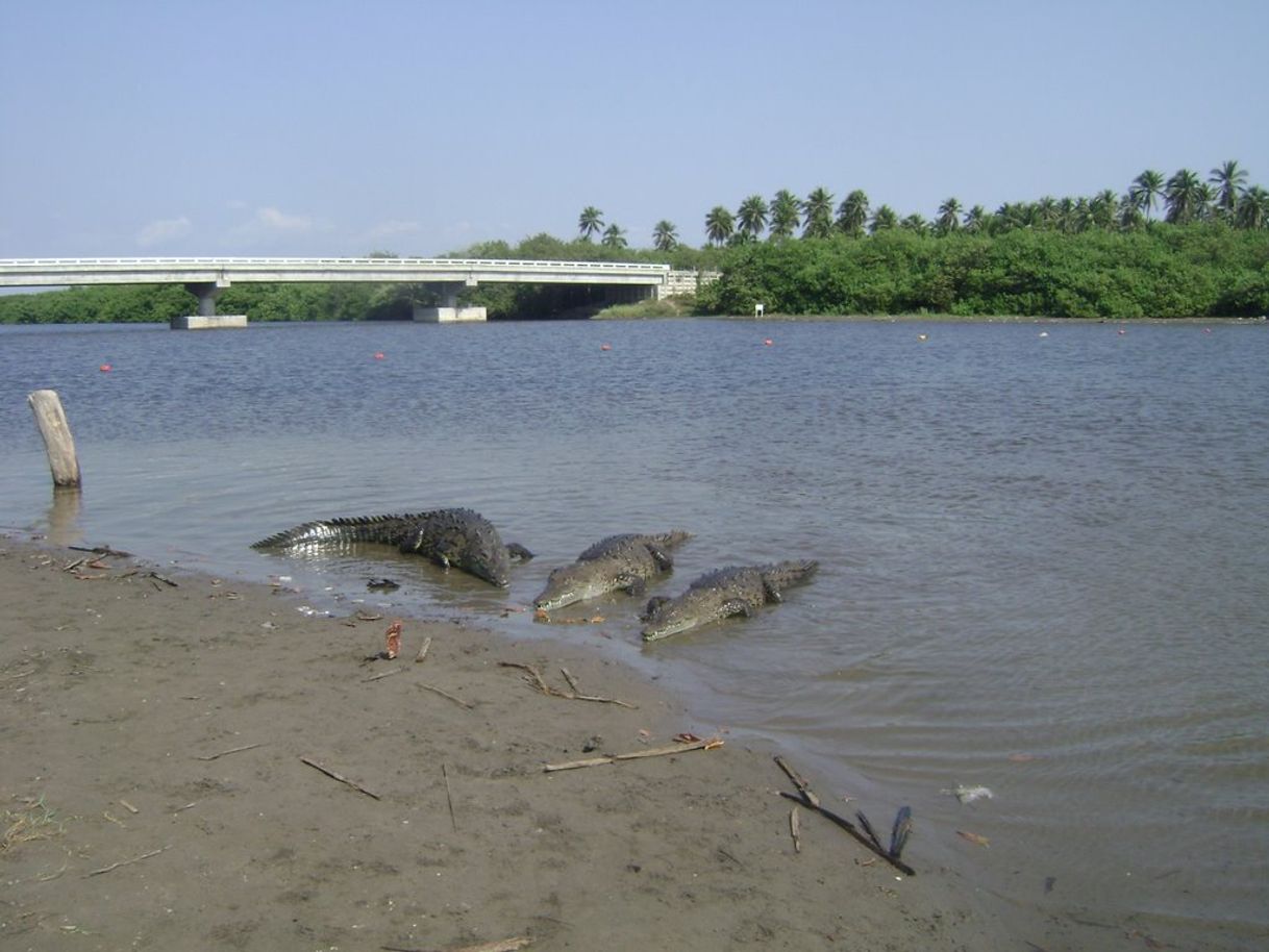 Place Barra De Pichi