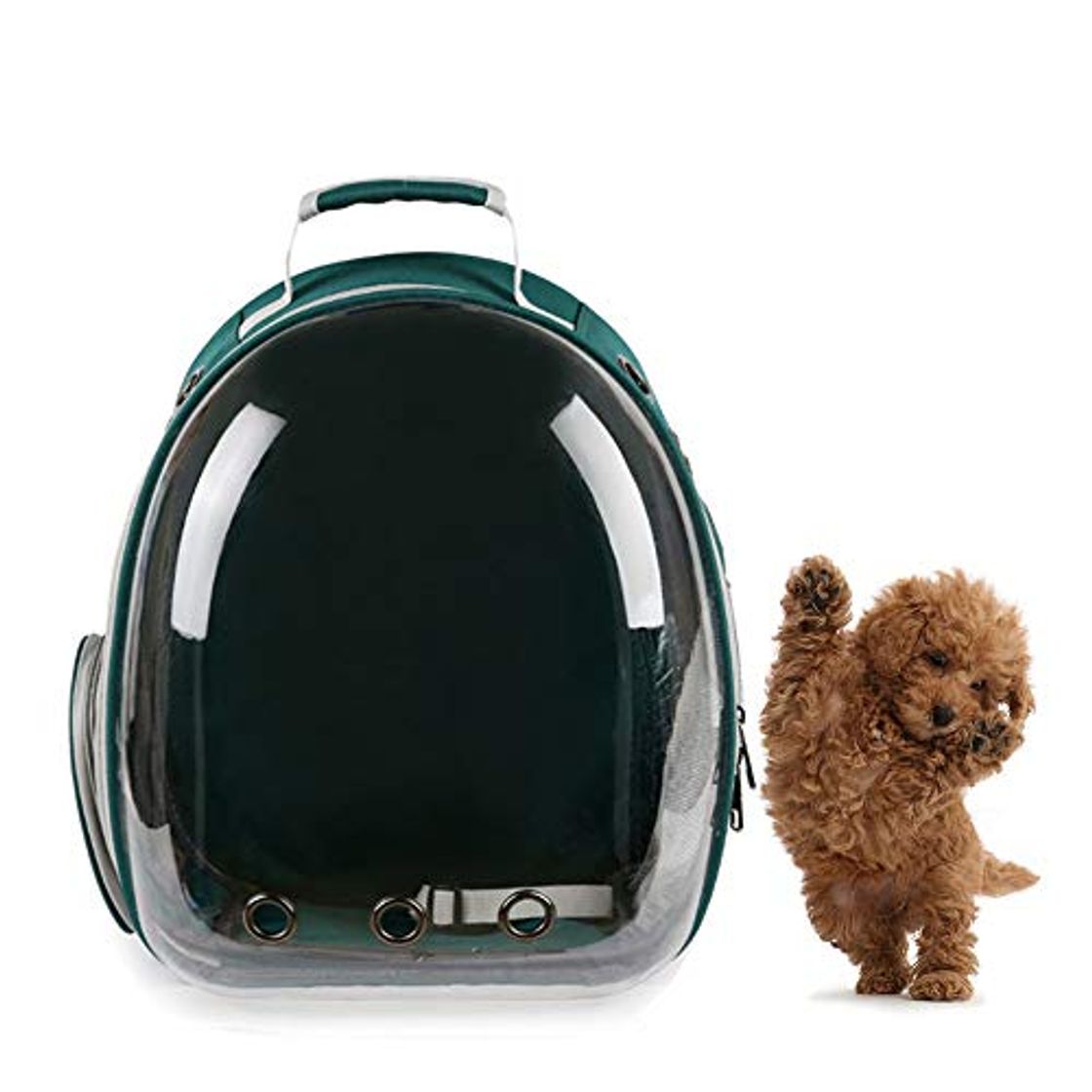 Social AlwaySky Mochila para Transportar Mascotas