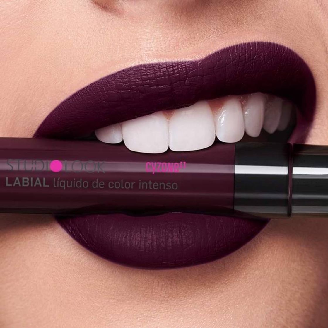 Social CyZone Labiales