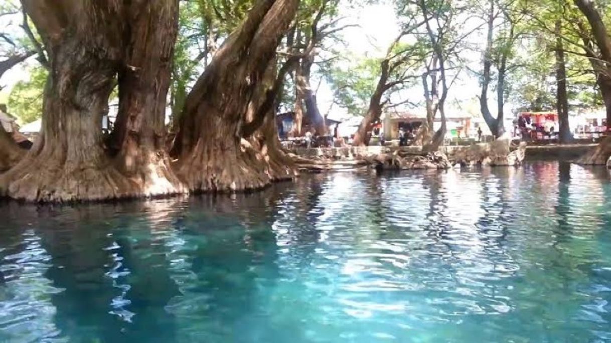 Place Lago de Camécuaro