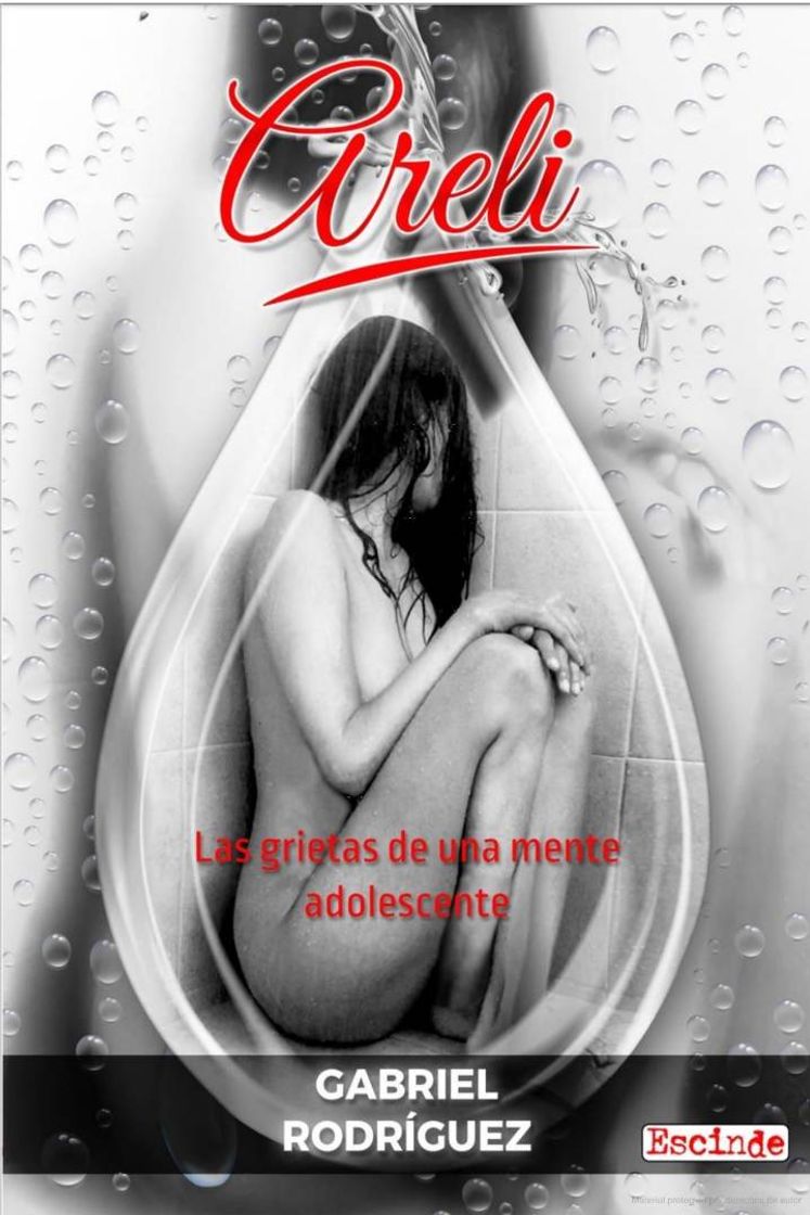 Libro Areli: Las grietas de una mente adolescente.