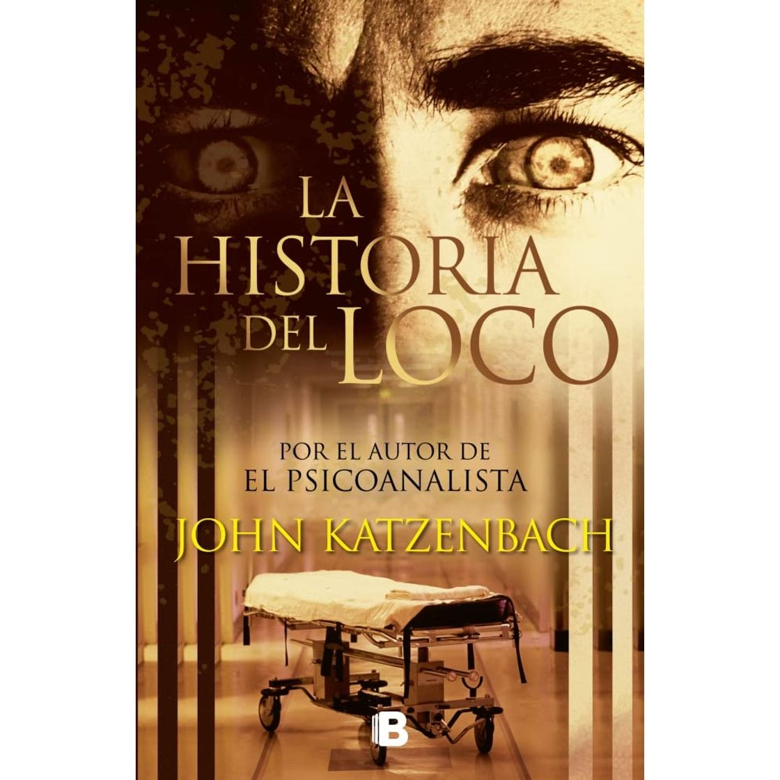 Book La historia del loco