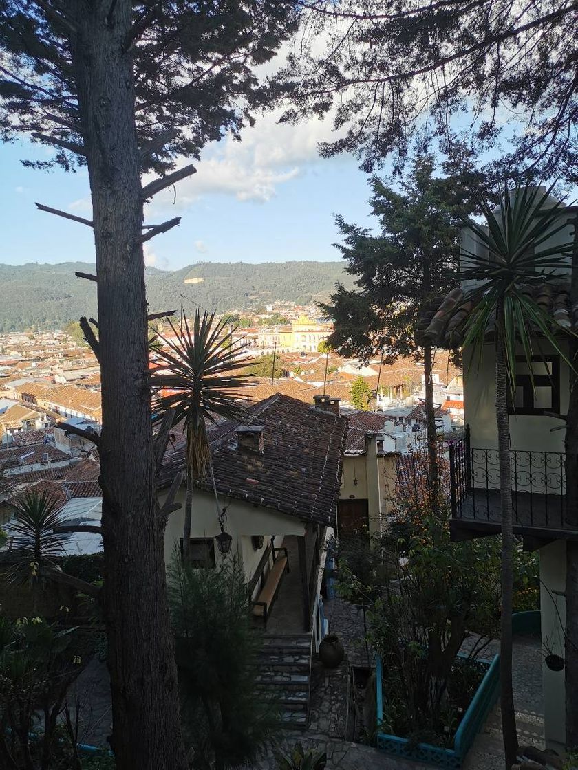 Place San Cristóbal de las Casas