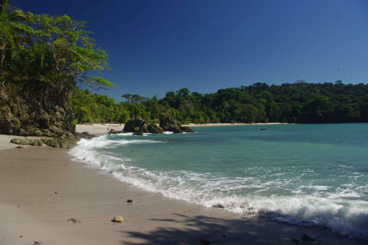 Lugar Playa Manuel Antonio