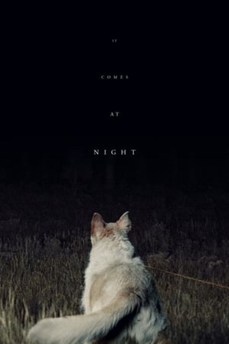 Movie Llega de noche