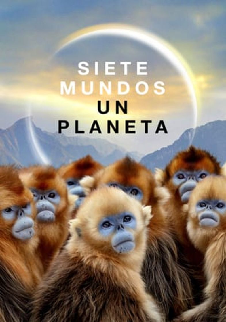 Serie Siete mundos, un planeta