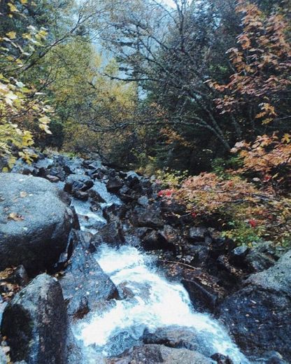 Parc Nacional d'Aigüestortes i Estany de Sant Maurici