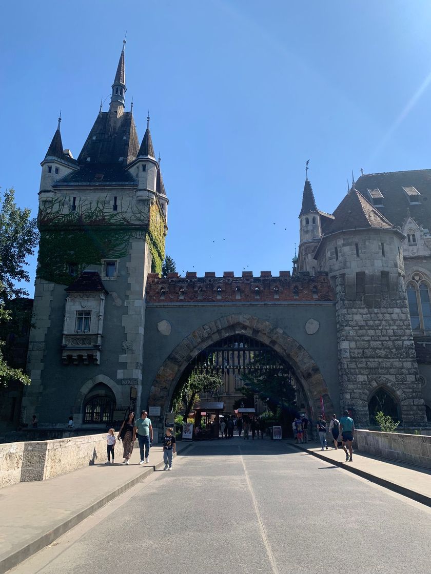 Place Castillo de Vajdahunyad