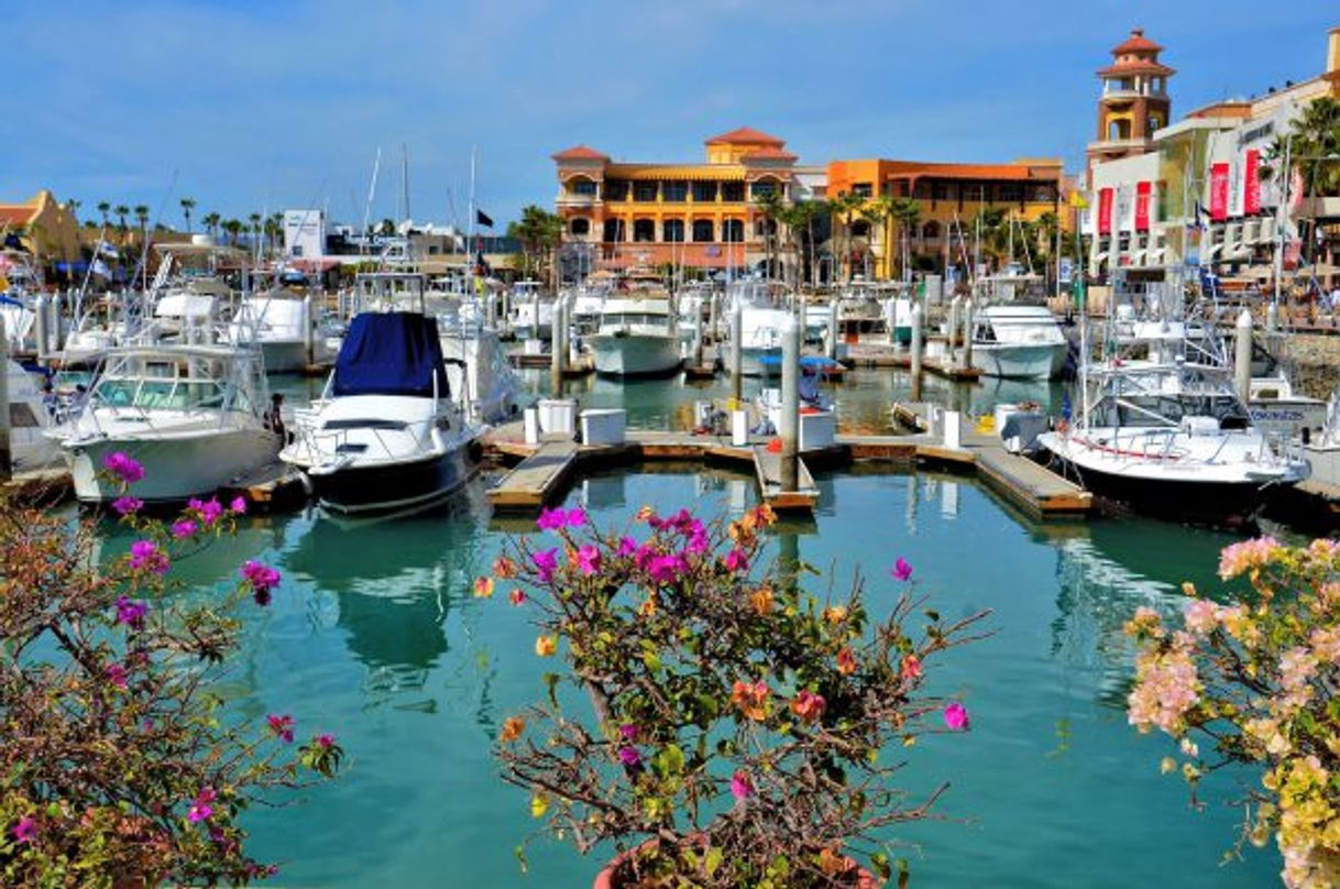 Place Paseo de La Marina