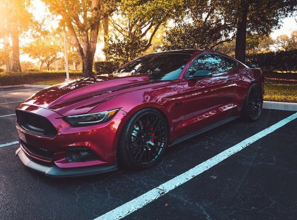 Fashion Mustang gt ⚡️ 