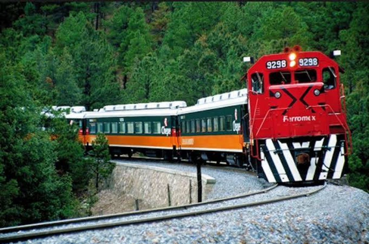 Social 10 recomendaciones para viajar en El Chepe | El Souvenir