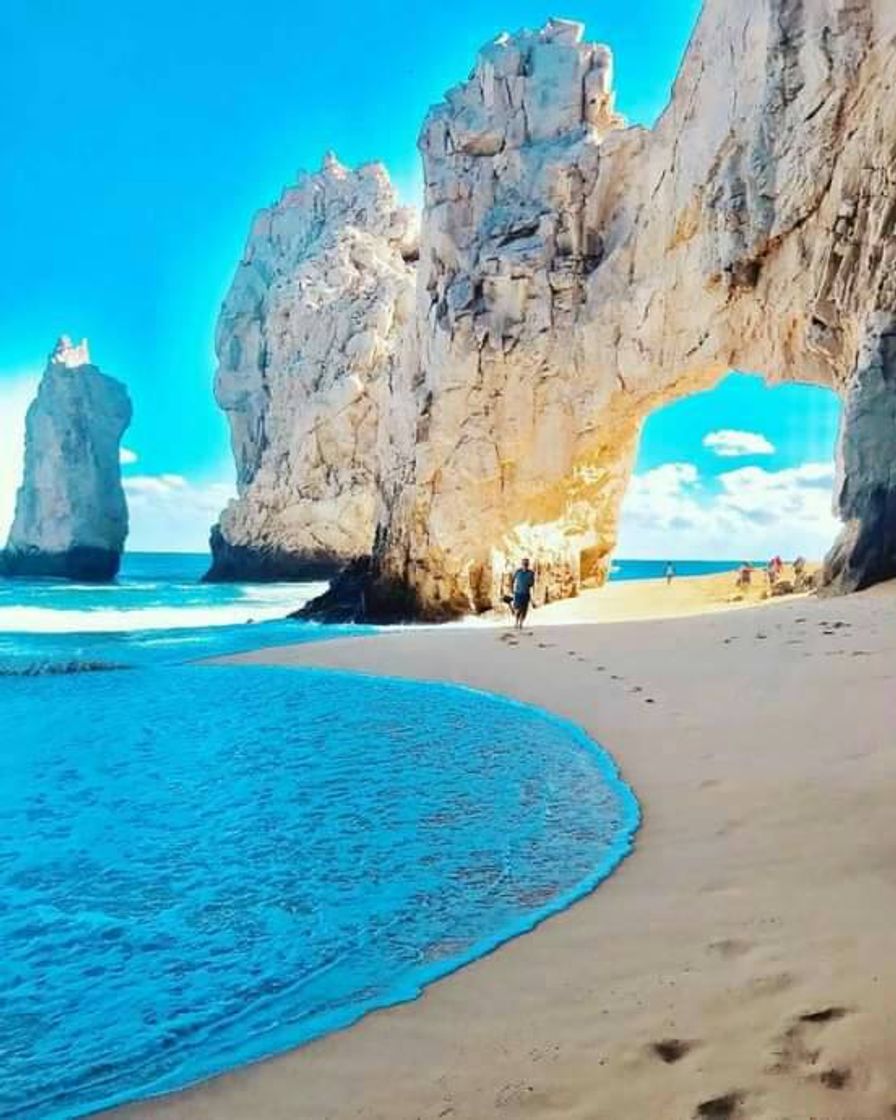 Place Los Cabos