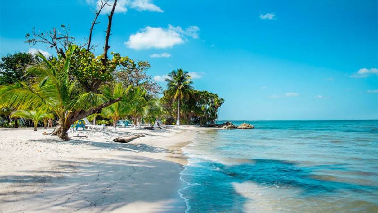 Lugar Playa Blanca