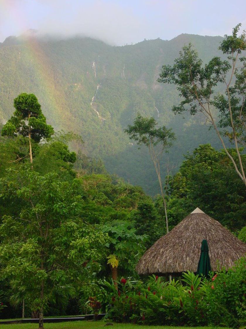 Lugares El Merendón National Forest