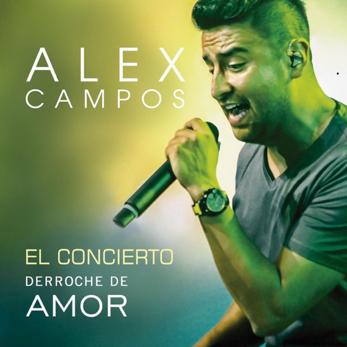 Canción Tu Amor - En Vivo