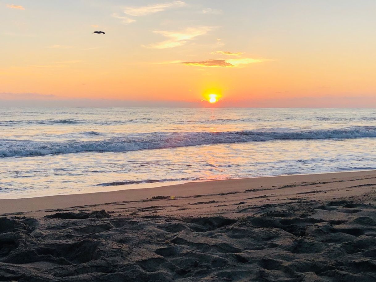 Place Puerto Escondido