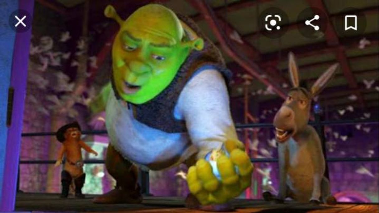 Canción Ever fallen in love