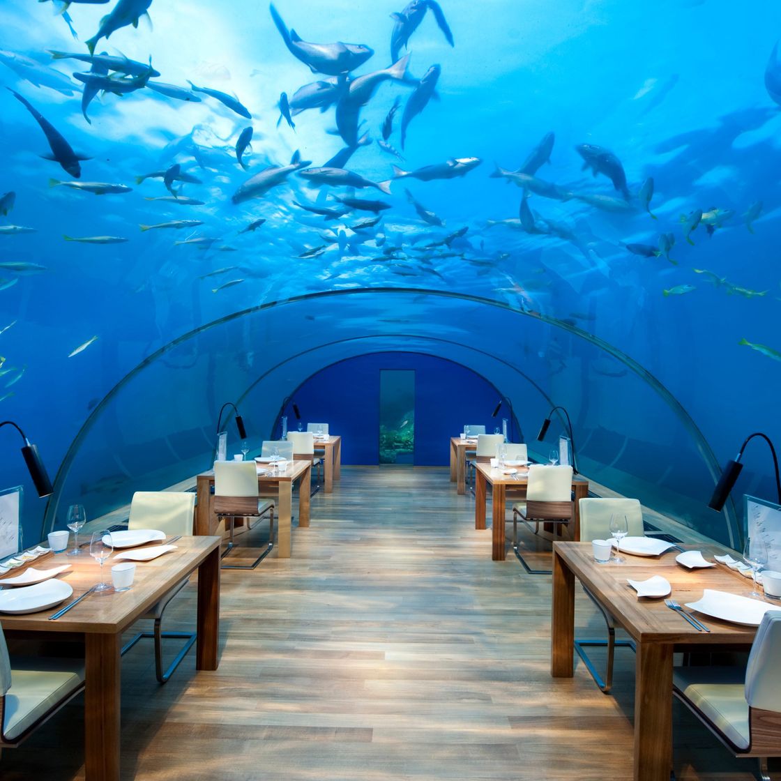 Restaurants Ithaa Undersea Restaurant