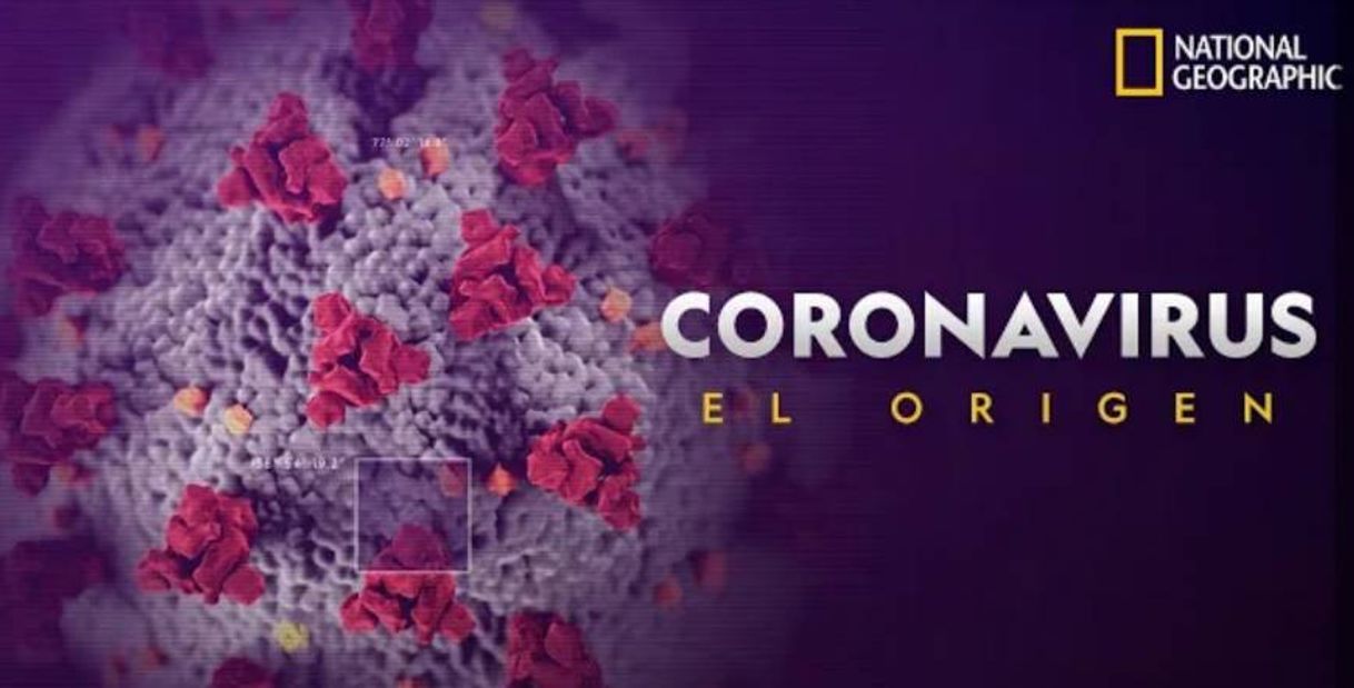 Moda CORONAVIRUS: EL ORIGEN | NATIONAL GEOGRAPHIC - YouTube