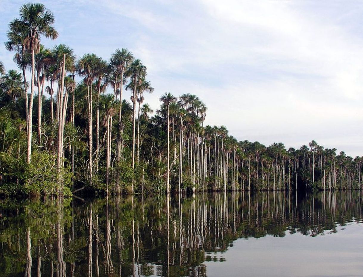 Lugar Puerto Maldonado