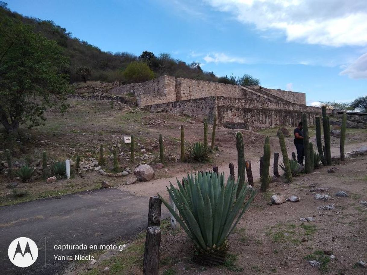 Places Dainzú Zona Arqueológica