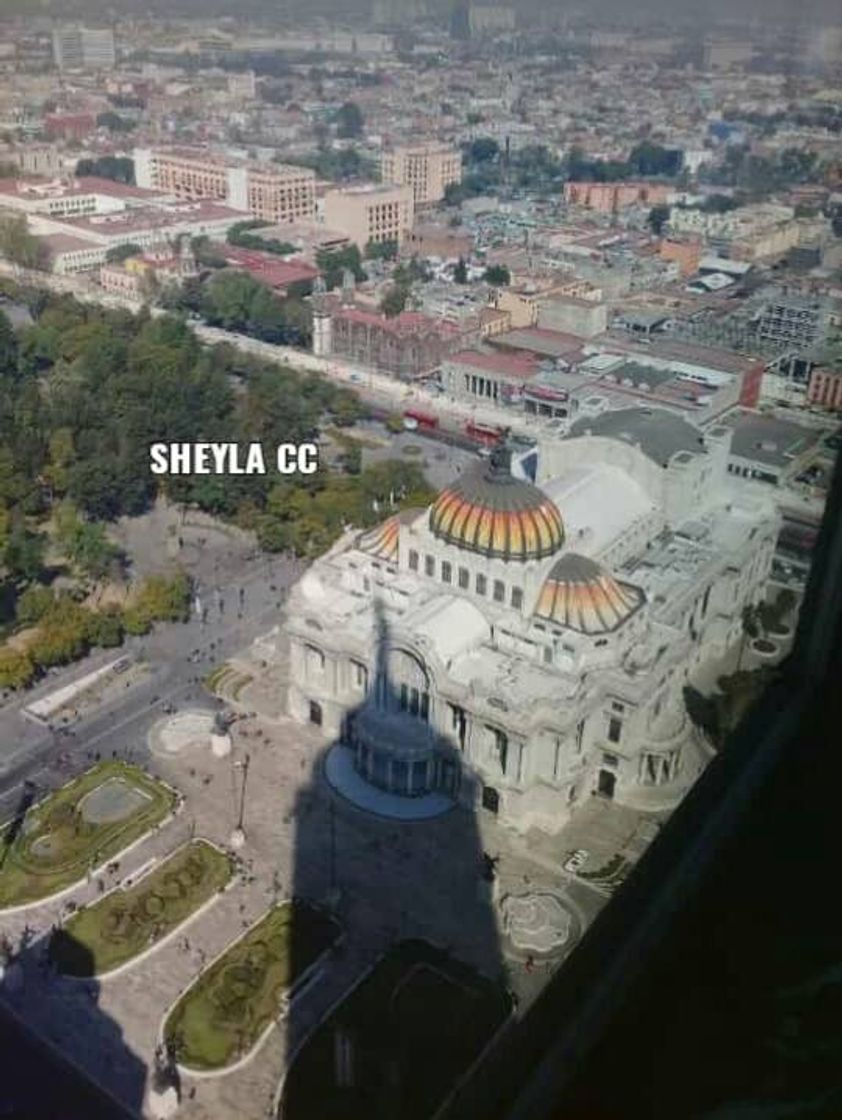 Lugar Bellas Artes