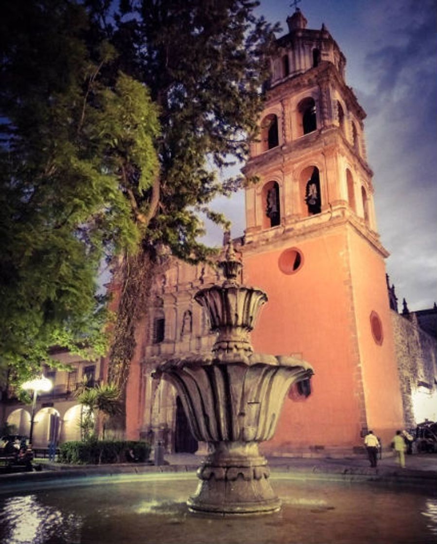 Place Centro Histórico, San Luis Potosí