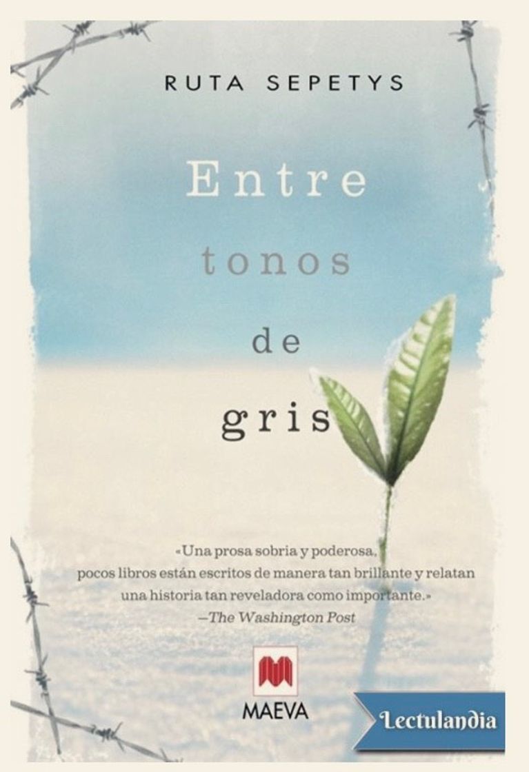 Libro Entre tonos de gris