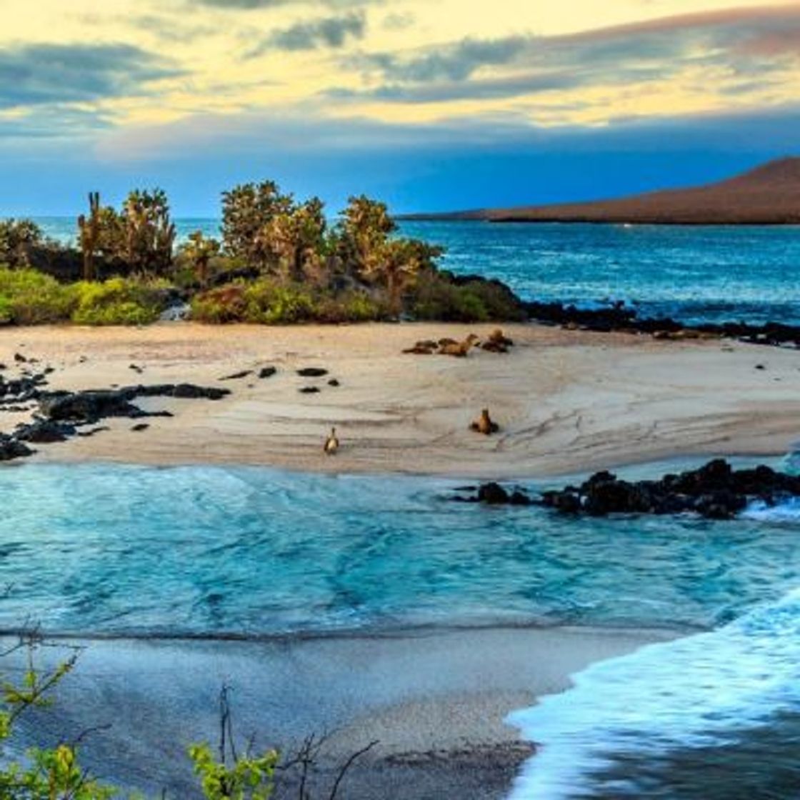 Place Galapagos Islands