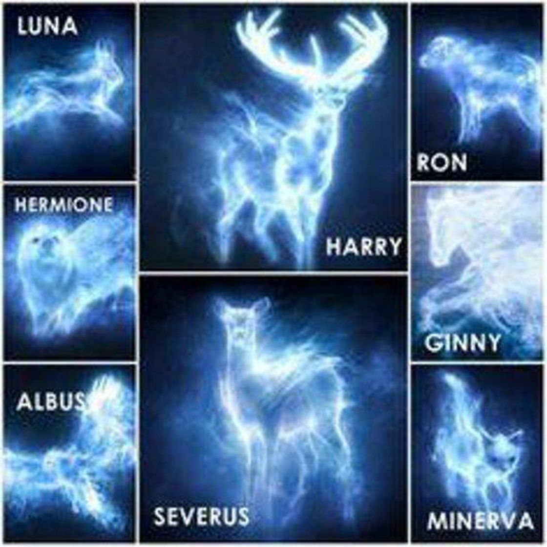 Moda Patronum💙