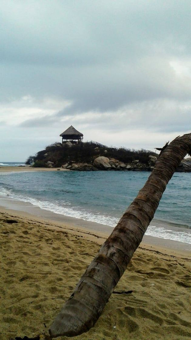 Lugar Parque Tayrona