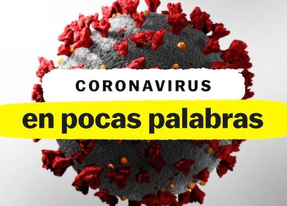 Serie El coronavirus, en pocas palabras