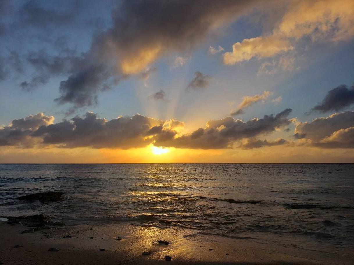 Place Cozumel