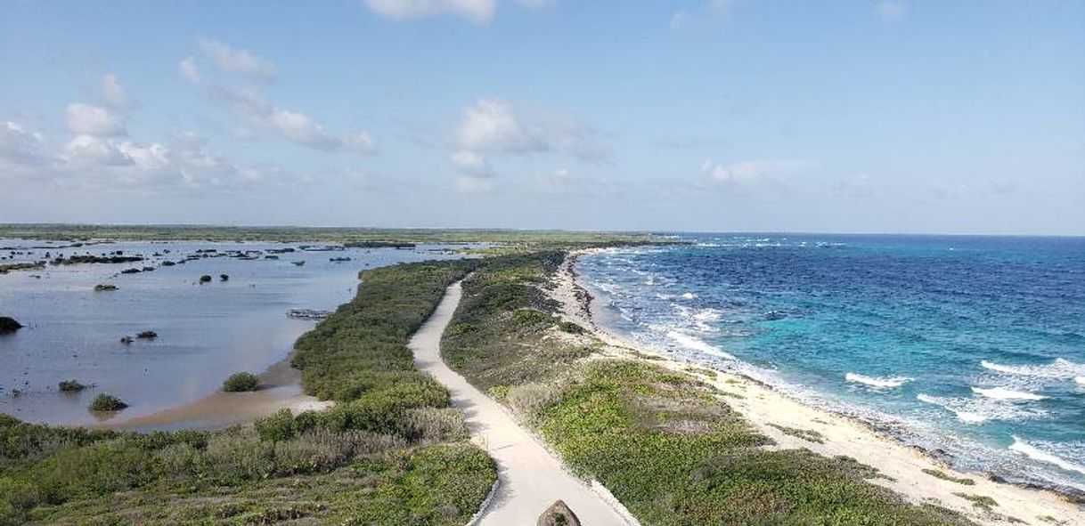 Place PUNTA SUR ECO BEACH PARK