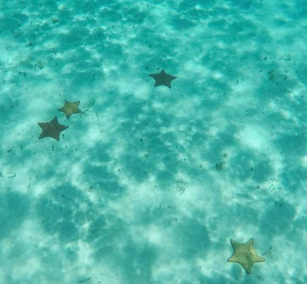 Place Snorkel El Cielo Cozumel