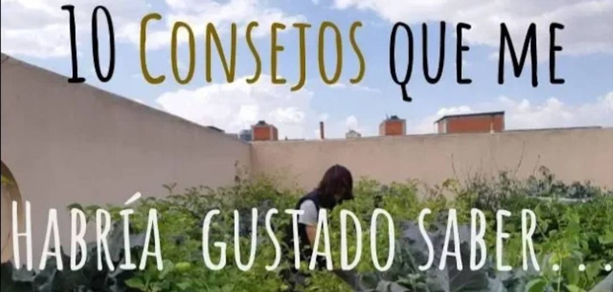 Moda HUERTO URBANO 🥦 10 Consejos para empezar 🌽