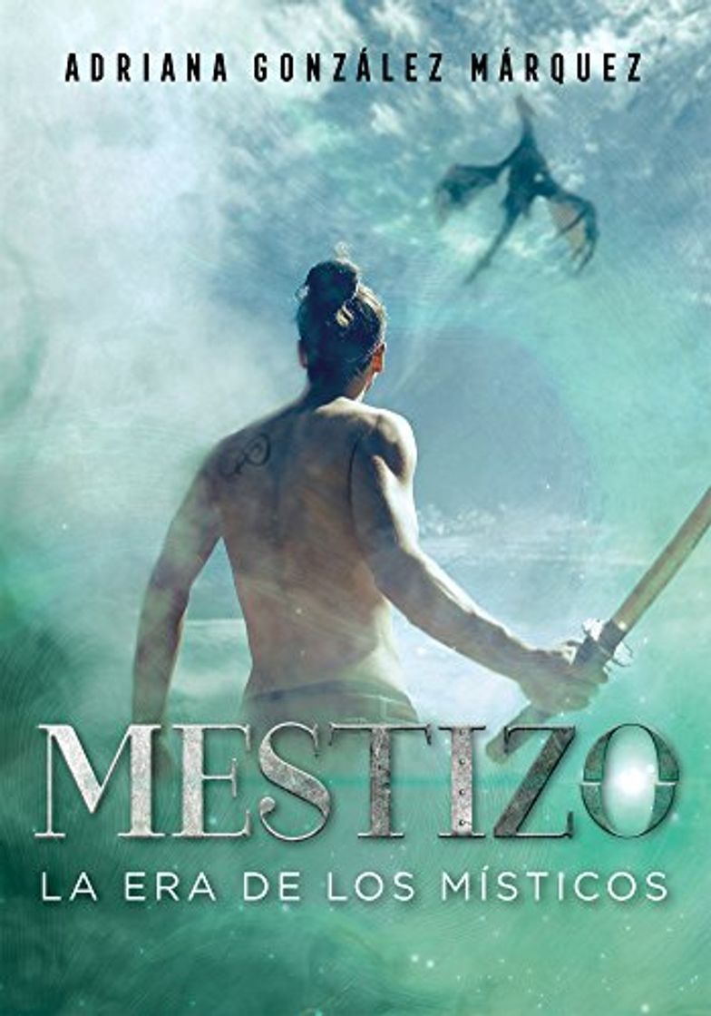 Book Mestizo