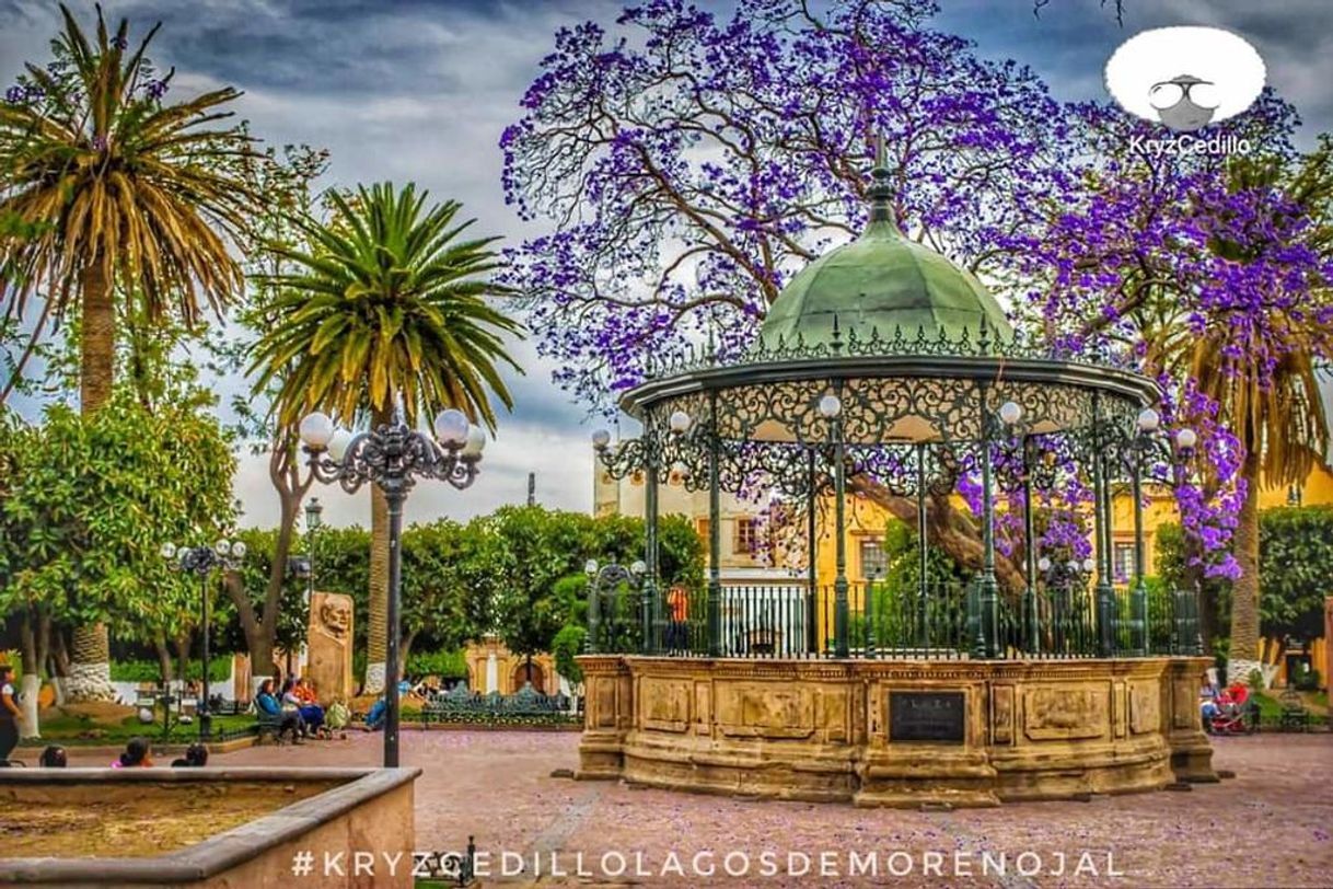 Place Lagos de Moreno